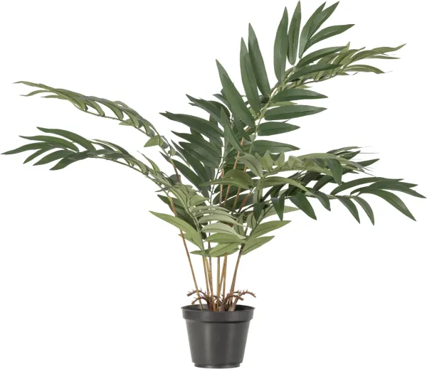 Kwai, Kunstpflanze, grün, H68x50x51 cm