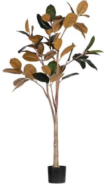 Rubber, Kunstpflanze, grün, H170x106x63 cm